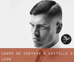 Coupe de cheveux à Castille-et-León