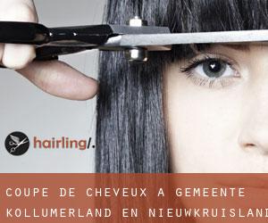 Coupe de cheveux à Gemeente Kollumerland en Nieuwkruisland