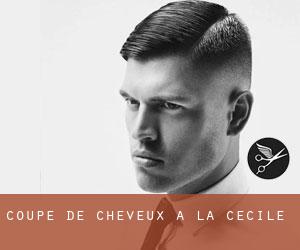 Coupe de cheveux à La Cécile Coupe de cheveux à La Cécile