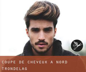 Coupe de cheveux à Nord-Trøndelag Coupe de cheveux à Nord-Trøndelag