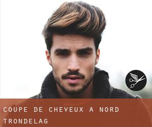 Coupe de cheveux à Nord-Trøndelag