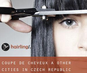 Coupe de cheveux à Other Cities in Czech Republic