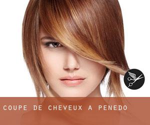 Coupe de cheveux à Penedo Coupe de cheveux à Penedo