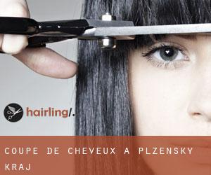 Coupe de cheveux à Plzeňský Kraj Coupe de cheveux à Plzeňský Kraj