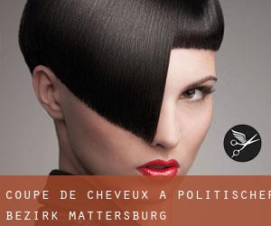 Coupe de cheveux à Politischer Bezirk Mattersburg