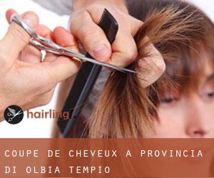 Coupe de cheveux à Provincia di Olbia-Tempio