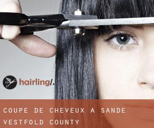 Coupe de cheveux à Sande (Vestfold county)