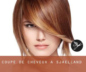 Coupe de cheveux à Sjælland Coupe de cheveux à Sjælland