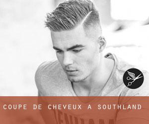 Coupe de cheveux à Southland