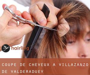 Coupe de cheveux à Villazanzo de Valderaduey