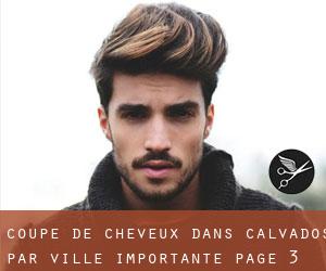 Coupe de cheveux dans Calvados par ville importante - page 3