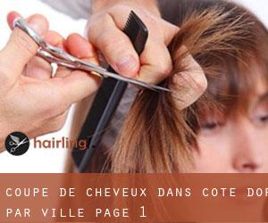 Coupe de cheveux dans Côte-d'Or par ville - page 1