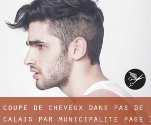Coupe de cheveux dans Pas-de-Calais par municipalité - page 1
