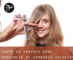 Coupe de cheveux dans Provincia di Carbonia-Iglesias par municipalité - page 1