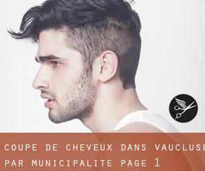 Coupe de cheveux dans Vaucluse par municipalité - page 1