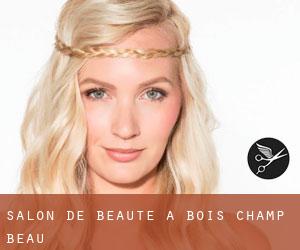 Salon de beauté à Bois-Champ-Beau