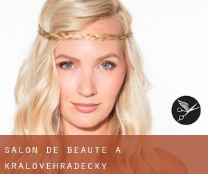 Salon de beauté à Královéhradecký Salon de beauté à Královéhradecký