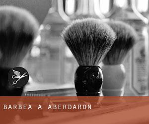 Barbea à Aberdaron