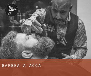 Barbea à Acca Barbea à Acca