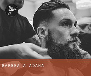 Barbea à Adana