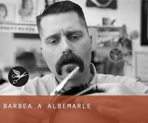 Barbea à Albemarle Barbea à Albemarle