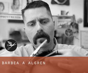 Barbea à Algren Barbea à Algren
