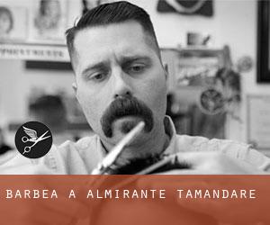 Barbea à Almirante Tamandaré Barbea à Almirante Tamandaré