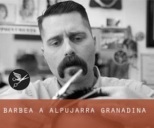 Barbea à Alpujarra Granadina