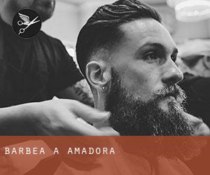 Barbea à Amadora
