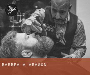 Barbea à Aragon Barbea à Aragon
