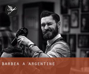 Barbea à Argentine