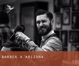 Barbea à Arizona Barbea à Arizona