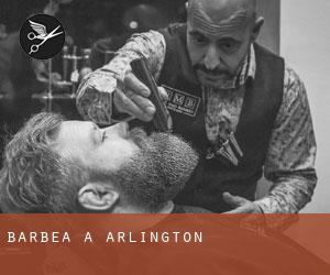 Barbea à Arlington Barbea à Arlington