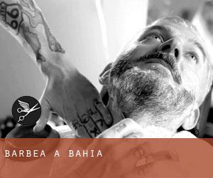 Barbea à Bahia Barbea à Bahia