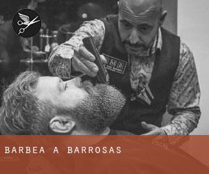 Barbea à Barrosas