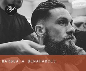Barbea à Benafarces