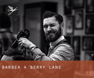 Barbea à Berry Lane