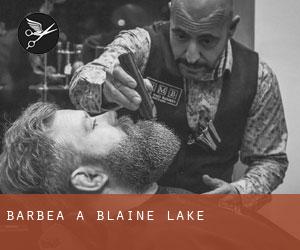 Barbea à Blaine Lake