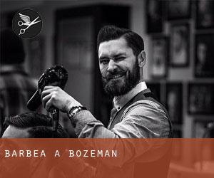 Barbea à Bozeman