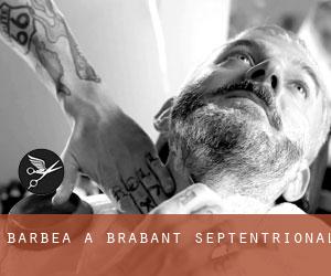 Barbea à Brabant-Septentrional Barbea à Brabant-Septentrional