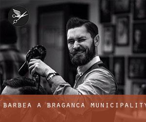 Barbea à Bragança Municipality