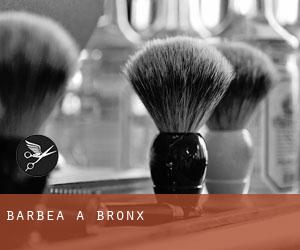Barbea à Bronx