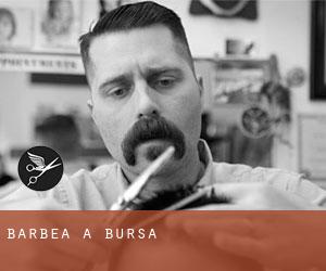 Barbea à Bursa