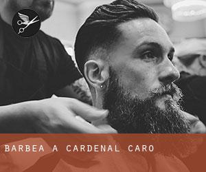 Barbea à Cardenal Caro