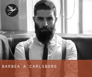 Barbea à Carlsborg