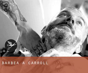 Barbea à Carroll Barbea à Carroll