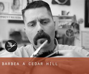 Barbea à Cedar Hill Barbea à Cedar Hill