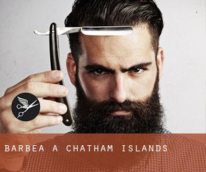 Barbea à Chatham Islands