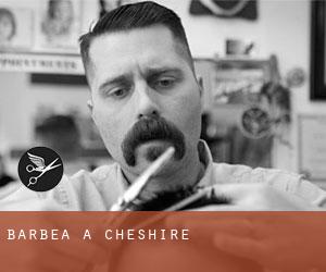 Barbea à Cheshire Barbea à Cheshire
