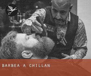 Barbea à Chillán